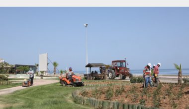 Erdemli Çiçek Açtı