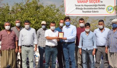 SÜT ÜRETİCİLERİNE RYEGRASS KABA YEM TOHUMU DESTEĞİ