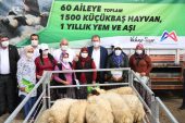 ERDEMLİ VE SİLİFKELİ ÜRETİCİLER DE KÜÇÜKBAŞ HAYVANLARINA KAVUŞTU