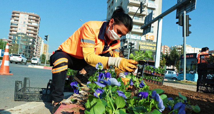 MERSİN KIŞ AYLARINDA DA ÇİÇEK AÇMAYA DEVAM EDİYOR