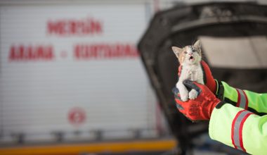 BÜYÜKŞEHİR İTFAİYESİ UYARIYOR:“KAPUTUNA SES VER, KAPUTUNA VUR!”