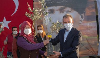 MERSİN BÜYÜKŞEHİR’DEN ÜRETİCİLERE BİNLERCE ZEYTİN FİDANI DESTEĞİ