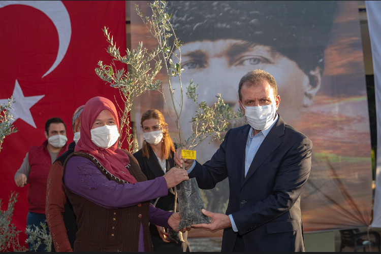 MERSİN BÜYÜKŞEHİR’DEN ÜRETİCİLERE BİNLERCE ZEYTİN FİDANI DESTEĞİ