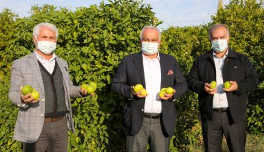 Limon Hasadı Dualarla Başladı