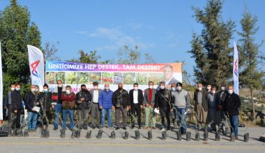 BÜYÜKŞEHİR’DEN TARSUSLU ÜRETİCİLERE BÖLGEYE HAS SARIULAK ZEYTİN FİDANI