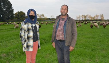 MERSİN BÜYÜKŞEHİR, HAYVAN ÜRETİCİLERİNİN DE UMUDU OLDU
