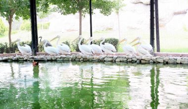 TARSUS DOĞA PARKI VE BARINAKLAR 6 OCAK’A KADAR ZİYARETE KAPALI OLACAK