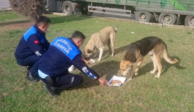 SOKAĞA ÇIKMA YASAĞINDA, SOKAKTA YAŞAYAN CANLAR UNUTULMADI