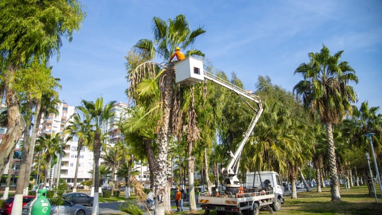 BÜYÜKŞEHİR PARK VE BAHÇELER EKİPLERİNDEN KAPSAMLI ÇALIŞMA