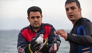 BÜYÜKŞEHİR İTFAİYESİ ÖNCE MARTIYI, SONRA TEKNEYİ KURTARDI