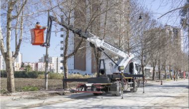 Büyükşehir’den Ağaçlara Bahar Bakımı