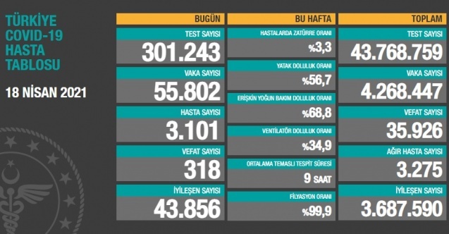 Türkiye’de koronavirüsten 318 kişi daha hayatını kaybetti! 55 bin 802 yeni vaka var