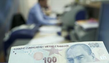 Hibe desteği başvuruları kimlik numarasına göre yapılacak