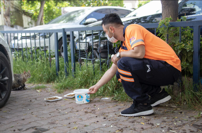 TAM KAPANMA SÜRECİNDE DE SOKAK HAYVANLARI BÜYÜKŞEHİR’E EMANET