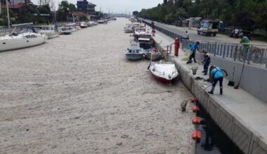 İstanbul Kadıköy Kurbağalıdere ile Fenerbahçe Sahili ve Moda Sahili’ni müsilaj olarak bilinen deniz salyası kapladı
