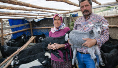 MERSİN BÜYÜKŞEHİR’İN “HAYDİ GEL KÖYÜMÜZE DESTEK VERELİM” PROJESİ YENİ DOĞUMLARLA BEREKETLENİYOR