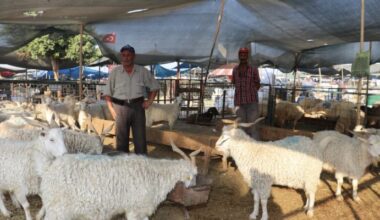 TOROSLAR BELEDİYESİ’NİN KURBAN SATIŞ VE KESİM YERLERİ BAYRAMA HAZIR