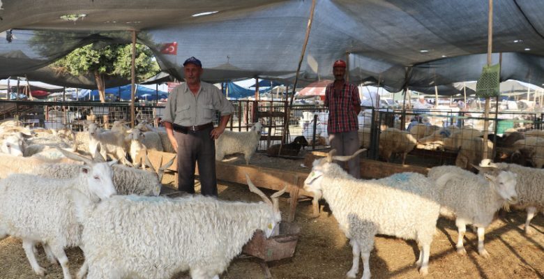 TOROSLAR BELEDİYESİ’NİN KURBAN SATIŞ VE KESİM YERLERİ BAYRAMA HAZIR