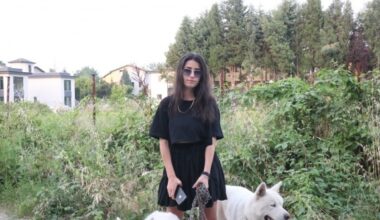 Sakarya’da vahşet, çöp poşeti içine konulup gömülmüş 2 ceset bulundu