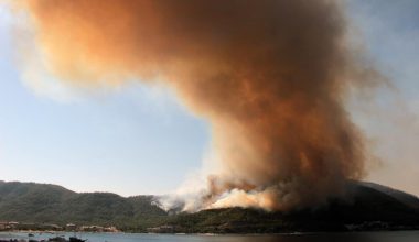 Marmaris’te alevler yüzlerce hektara yayıldı: Gelen görüntüler içimizi dağlıyor