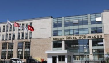 Orman Genel Müdürlüğü’ne 60 milyon 368 bin liraya 28 tane makam aracı!