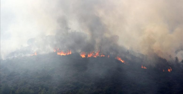 Mersin’deki orman yangını kontrol altına alındı