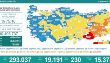 Son 24 saatte koronavirüsten 230 kişi daha hayatını kaybetti, 19 bin 191 yeni vaka tespit edildi