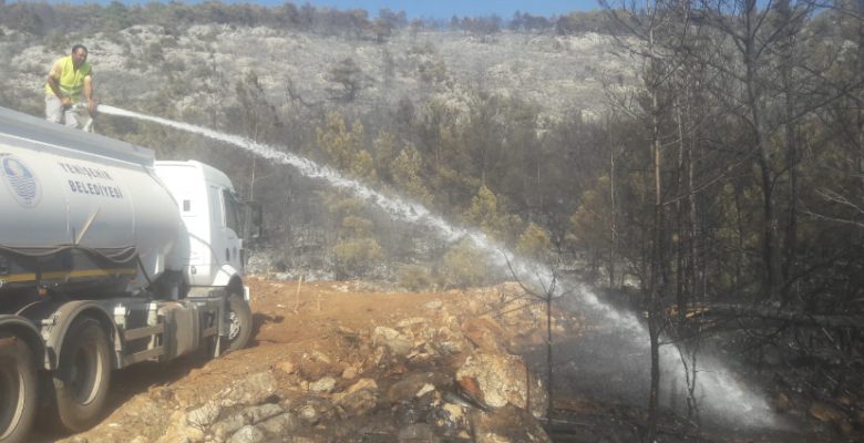 Yenişehir Belediyesi tüm imkânlarıyla yangın bölgesinde
