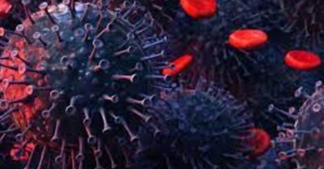 20 ülkenin sağlık bakanı toplandı: Koronavirüste yeni mutasyon endişesi!