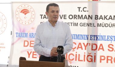 Dünyanın en pahalı bitkisi için Yenişehir’de üretim başladı