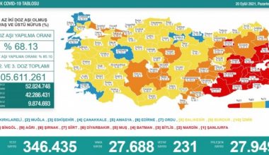 Son 24 saatte korona virüsten 231 kişi hayatını kaybetti