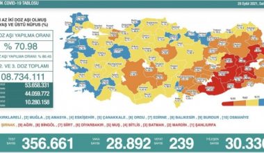 Son 24 saatte korona virüsten 239 kişi hayatını kaybett