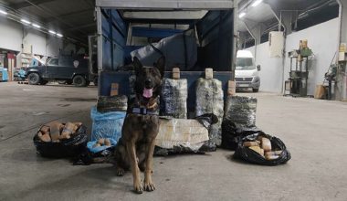 Emniyet’ten Kolombiya’dan Türkiye’ye gönderileceği öne sürülen uyuşturucuya ilişkin açıklama