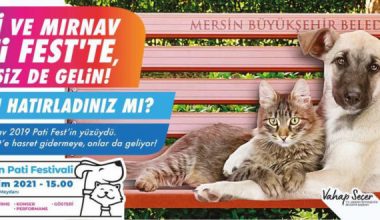 MERSİN BÜYÜKŞEHİR’İN PATİLİLER İÇİN DÜZENLEDİĞİ FESTİVAL 10 EKİM’DE