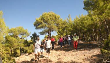 MERSİN BÜYÜKŞEHİR’DEN TARSUS ÇAMALAN’DA “DOĞA BİZİ ÇAĞIRIYOR” ETKİNLİĞİ