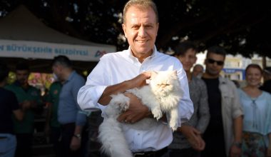 MERSİN’DEKİ HAYVANSEVERLER PATİ FEST’TE BULUŞTU