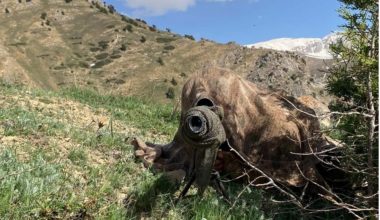 Tunceli’de ‘Eren Kış-6 Mercan Dağları Şehit Jandarma Uzman Çavuş Burak Tortumlu Operasyonu’