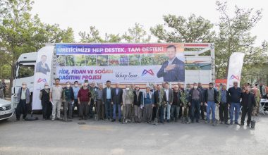 MERSİN BÜYÜKŞEHİR’DEN 511 ÜRETİCİYE 16 BİN 373 BADEM FİDANI