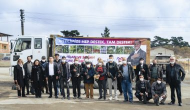 MERSİN BÜYÜKŞEHİR’DEN 638 ÜRETİCİYE 19 BİN 690 CEVİZ FİDANI