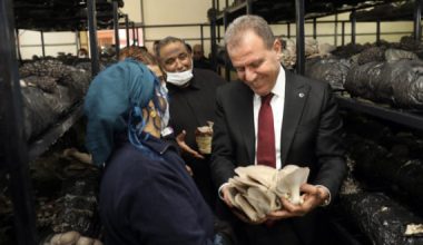 BAŞKAN SEÇER, ROMAN KADINLAR İLE MANTAR HASADI YAPTI