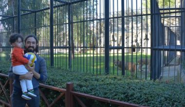DOĞA PARKI’NIN YENİ SAKİNLERİ: “BERDAN” VE “KLEOPATRA”