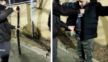 Bekçilerin üst araması yaptığı yabancı uyruklu kişinin kemerinden kılıç çıktı!