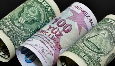 Döviz kurları haftaya yatay seyirle başladı; dolar 13,60