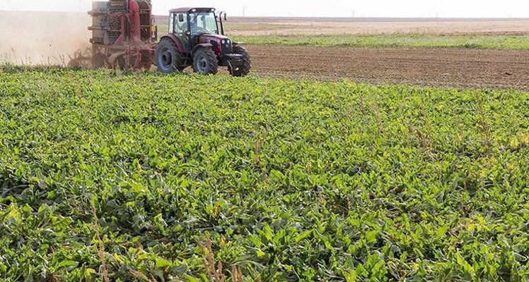 Tarım arazileri için hibe programı açıklandı