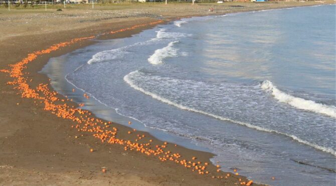 Mersin sahillerini portakal kapladı! İşte nedeni…