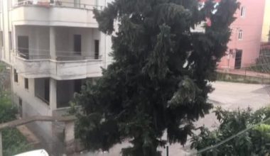 Adana ve Mersin’e kısa süre kar yağdı