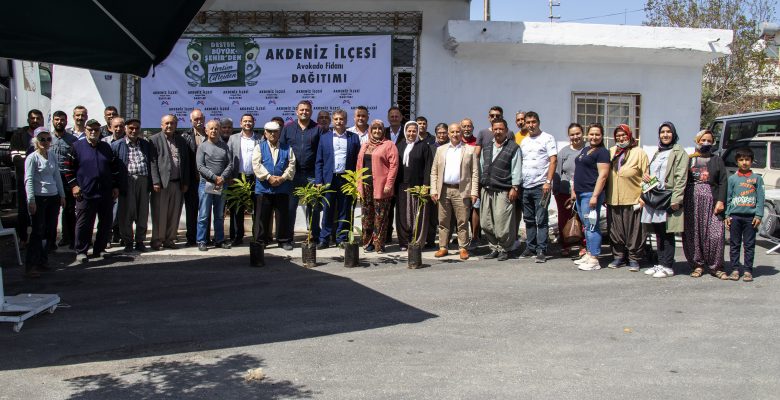 6 İLÇEDE 192 ÜRETİCİYE 3 BİN 865 AVOKADO FİDANI ULAŞTIRILDI