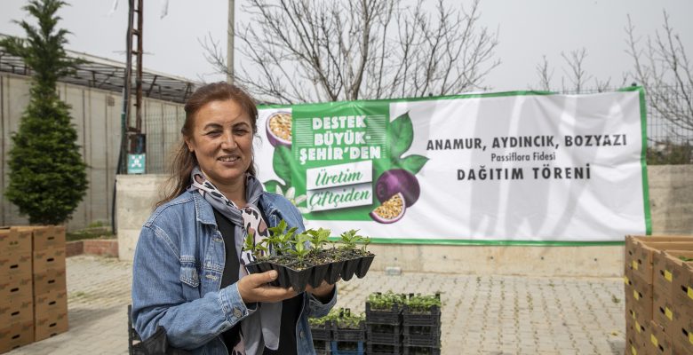 MERSİN BÜYÜKŞEHİR’DEN ÜRETİCİYE YENİ DESTEK: “PASSİFLORA FİDESİ”