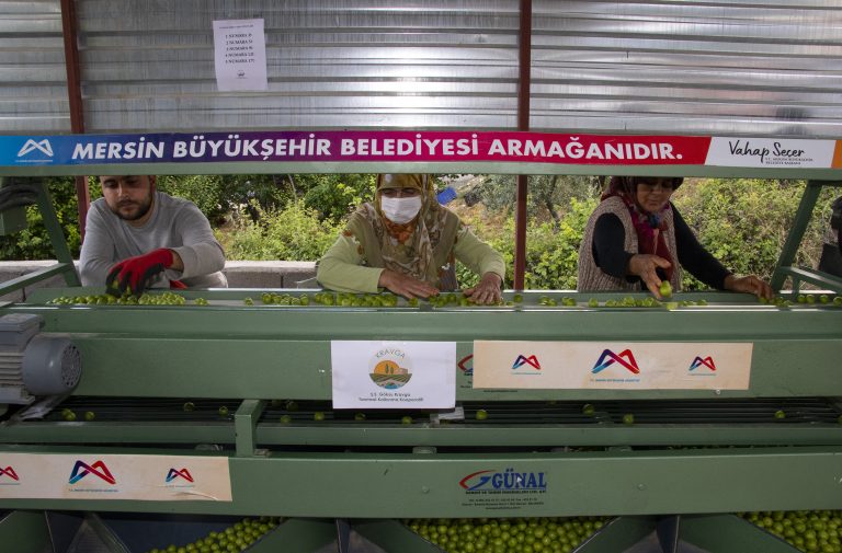 MERSİN BÜYÜKŞEHİR’DEN MUT’A 1 ERİK BOYLAMA MAKİNESİ DESTEĞİ DAHA