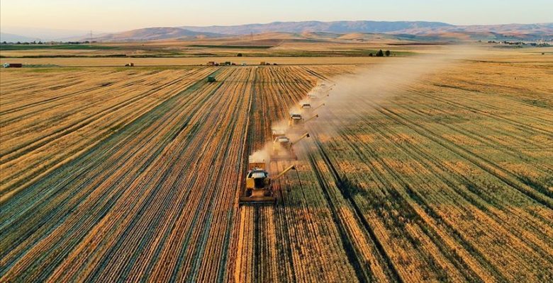 Türkiye, tarım yapmak için 10 ülkede arazi kiralayacak